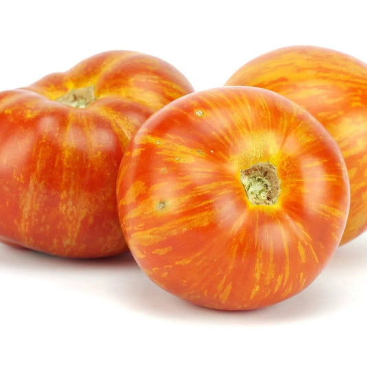 Tomato Seeds - Indeterminate - Red Zebra Slicing