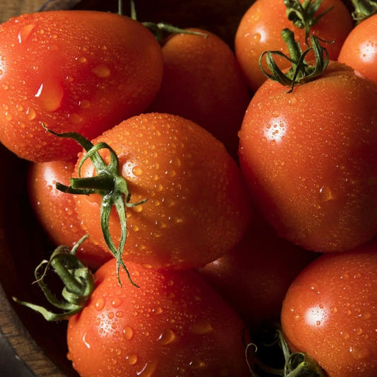 Tomato Seeds - Determinate - Classic Roma
