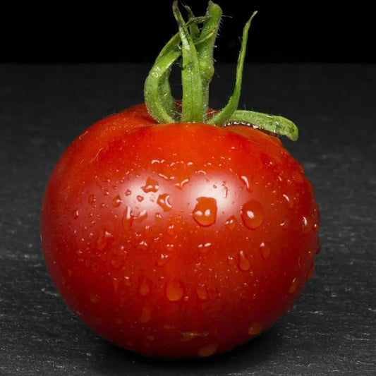 Tomato Seeds - Indeterminate - Stupice Slicing