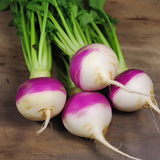 Turnip Seeds - Purple Top White Globe Turnip