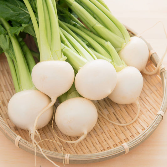 Turnip Seeds - White Egg
