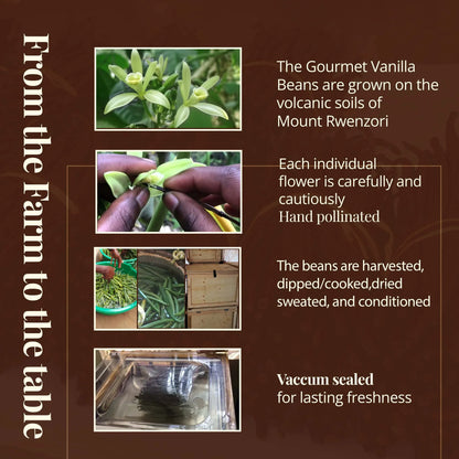 Premium Grade A Vanilla Beans Whole Bulk Pods