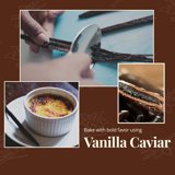 1 lb Premium Wholesale Vanilla Beans – Bulk Vanilla Beans for Culinary Professionals