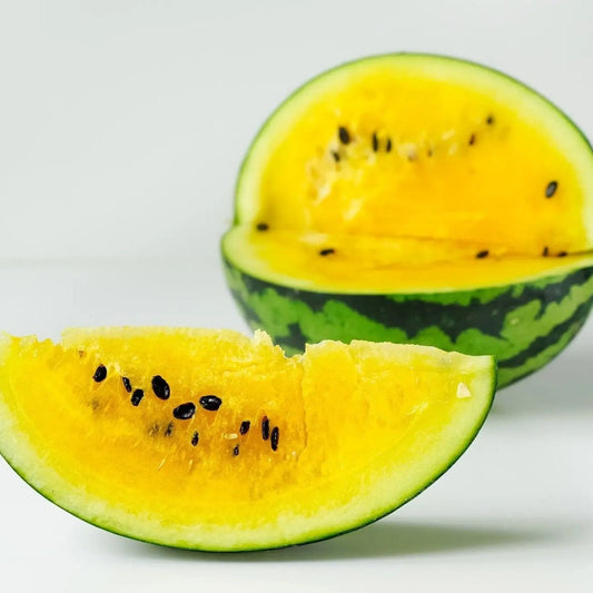 Watermelon Seeds - Bush - Yellow Petite