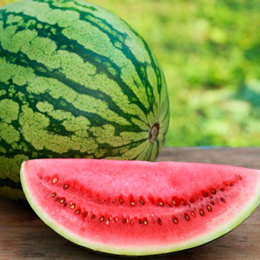 Crimson Sweet Watermelon Seeds