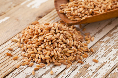 Premium Wheat Seeds for Sprouting Fodder (Wheat Grass) -- Grown In Missouri To Encourage Positive Behaviors