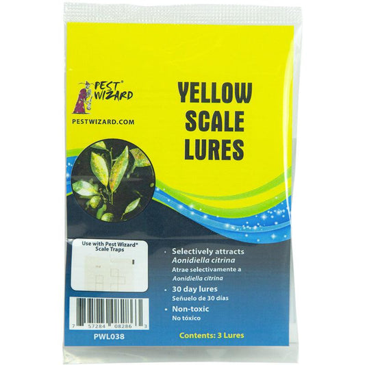 Pest Wizard Yellow Scale Lure 3-Pack